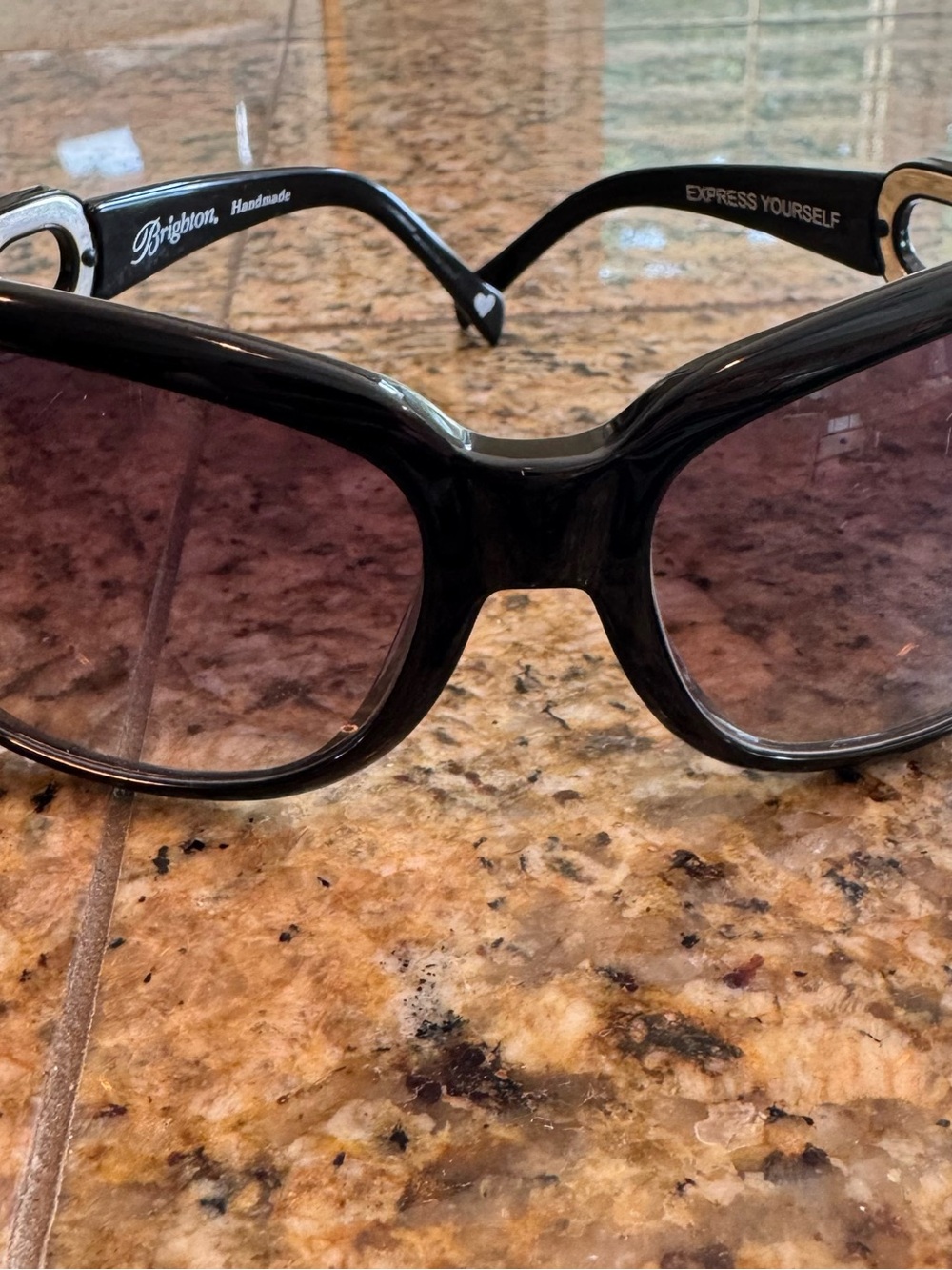 Brighton Black Frame Sunglasses with Gradient Gray Lenses